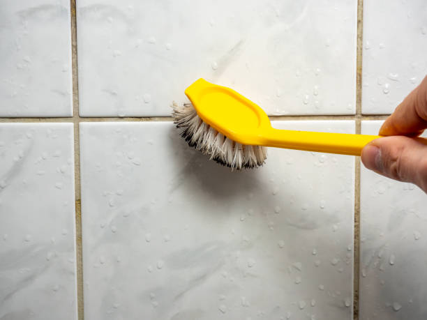 Best Fast Mold Removal  in Sunset, LA
